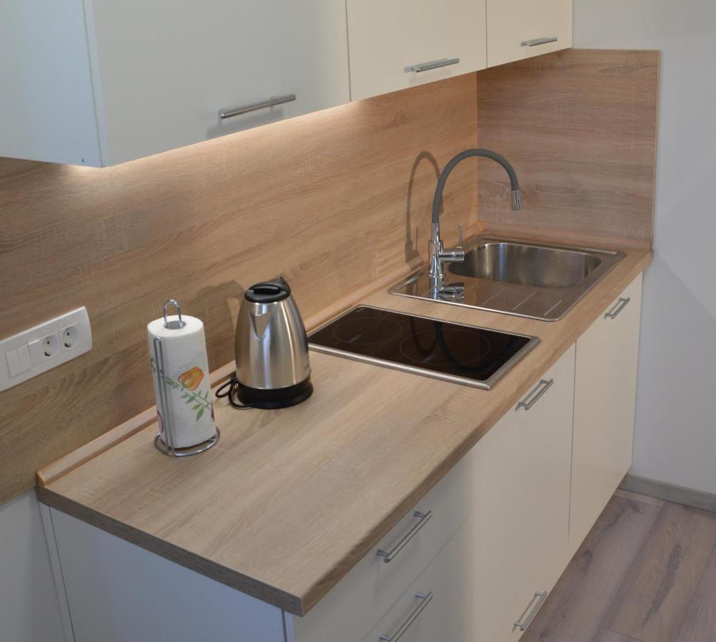 Apartma Vila Zigmund Cerknica Zewnętrze zdjęcie